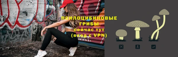 героин Михайлов
