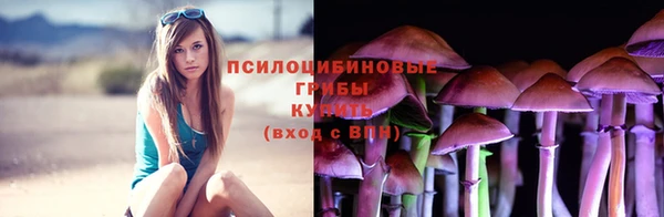 амф Михайловск